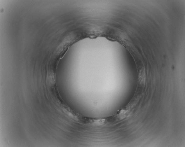 X0000076400474200610202134