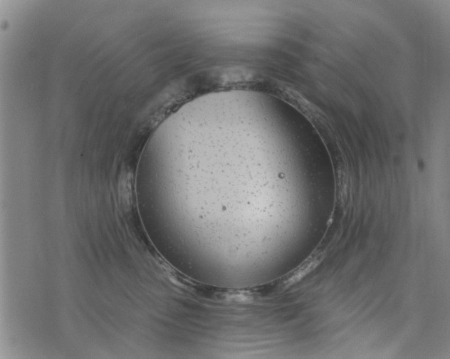 X0000076400475200610202134