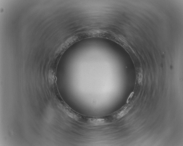 X0000076400476200610202134