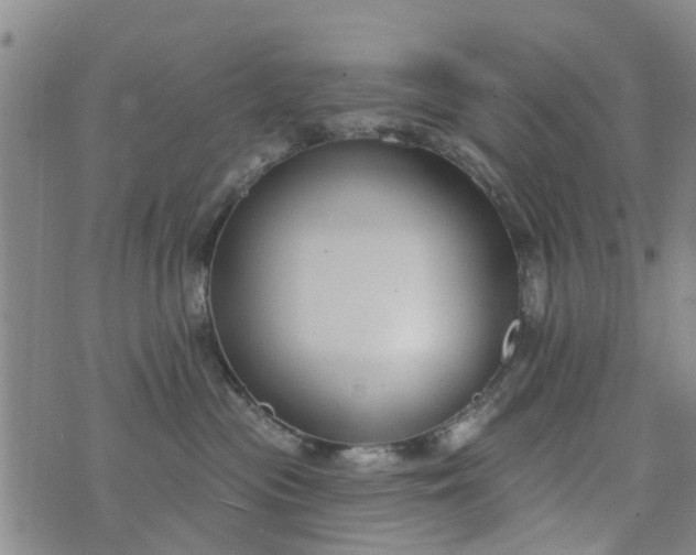 X0000076400477200610202134