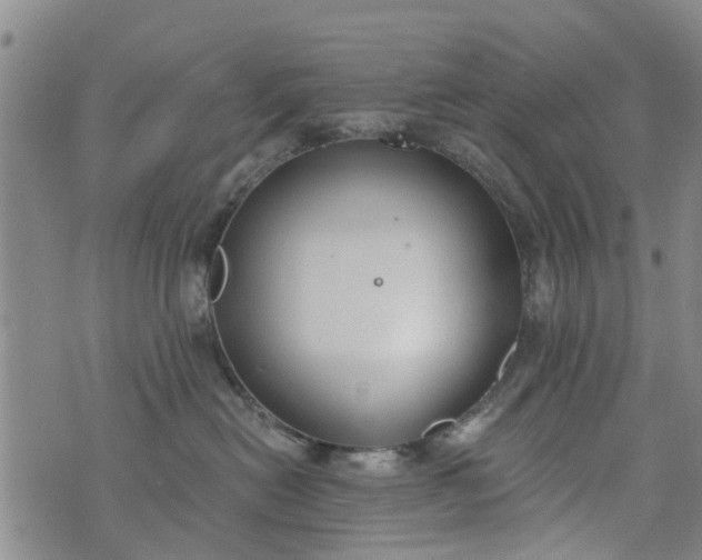 X0000076400478200610202134