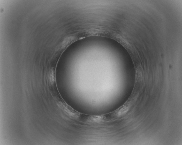 X0000076400479200610202134