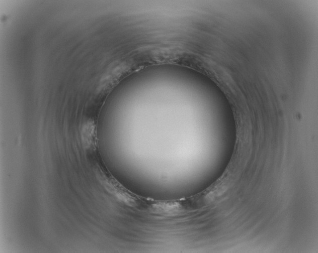 X0000076400480200610202134