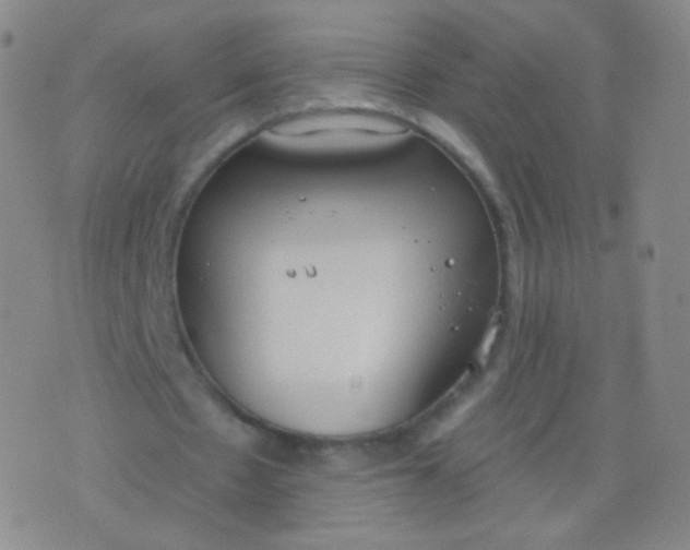 X0000076400481200610202134