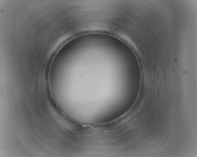 X0000076400482200610202134