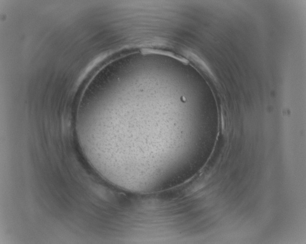 X0000076400483200610202134