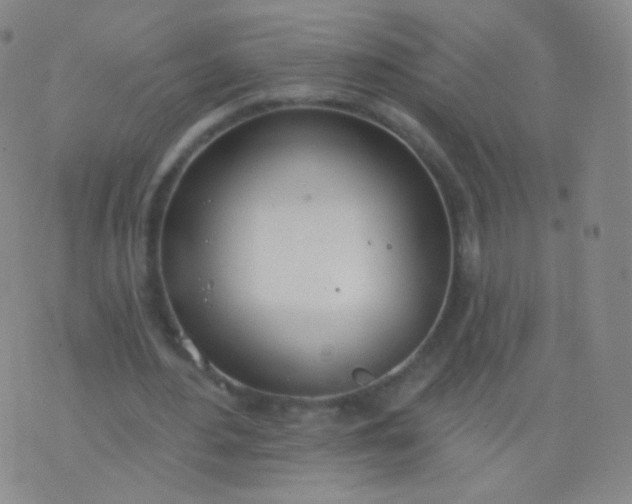 X0000076400484200610202134