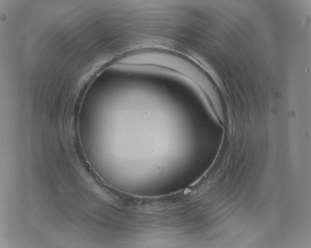 X0000076400485200610202134