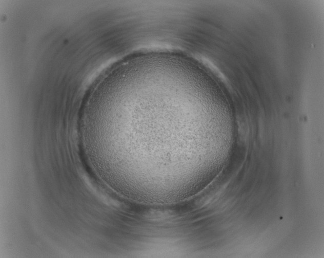 X0000076400487200610202134