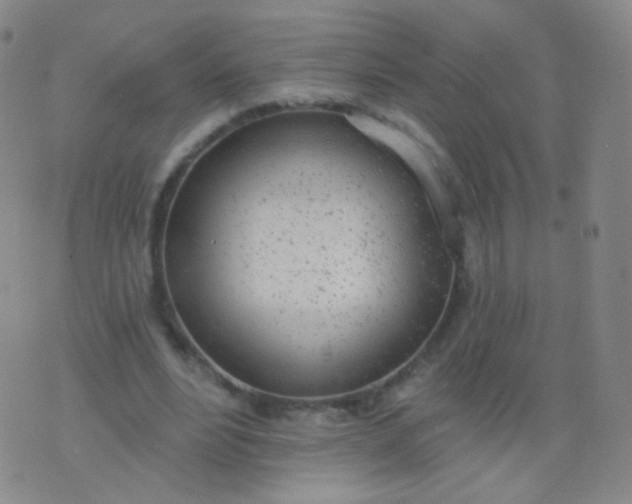 X0000076400488200610202134