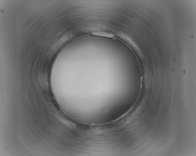 X0000076400489200610202134