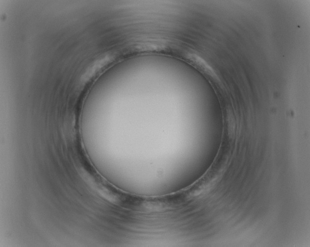 X0000076400490200610202134