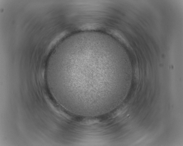 X0000076400491200610202134