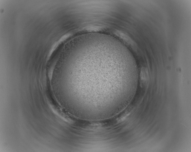 X0000076400492200610202134