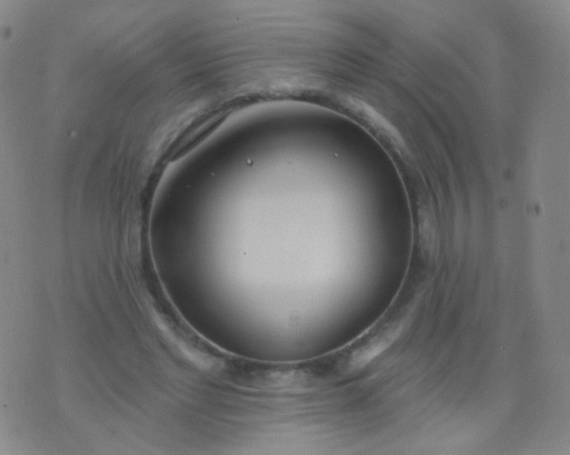 X0000076400493200610202134