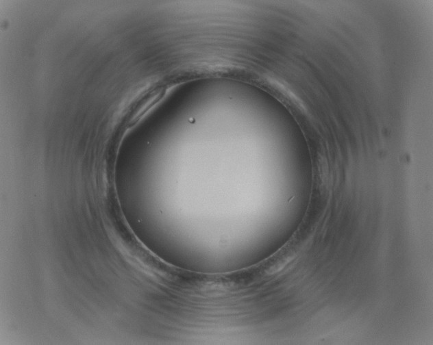 X0000076400494200610202133