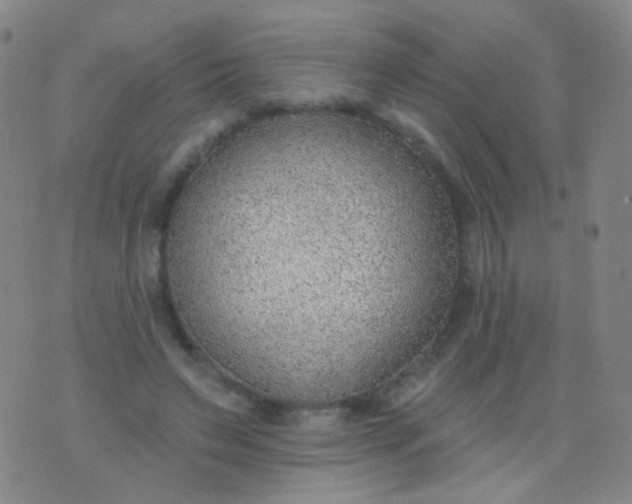 X0000076400495200610202133