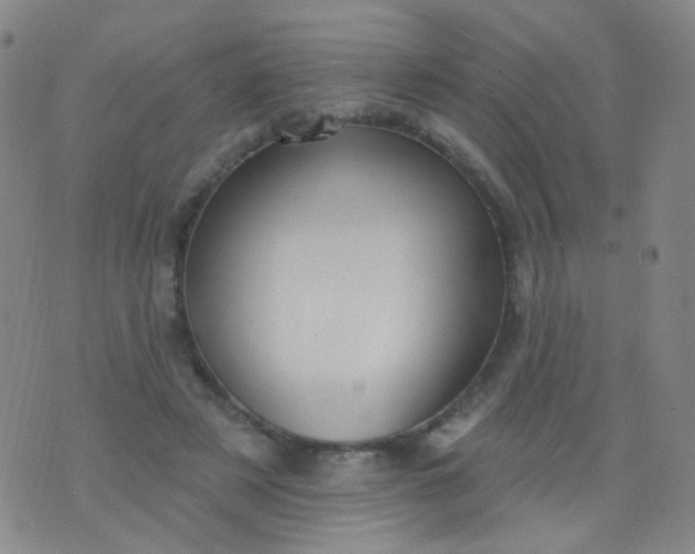 X0000076400497200610202133