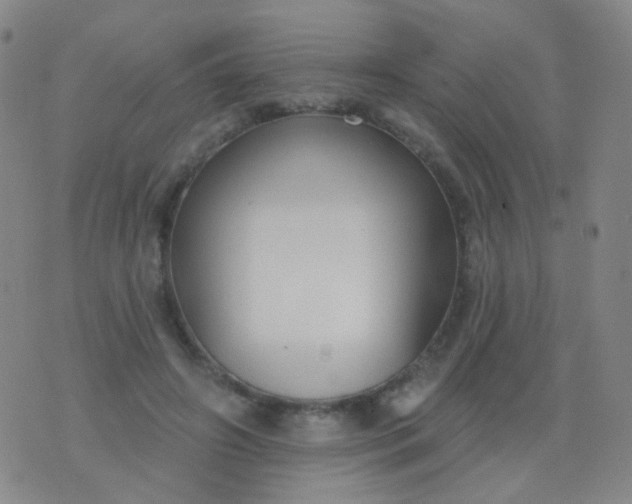 X0000076400498200610202133