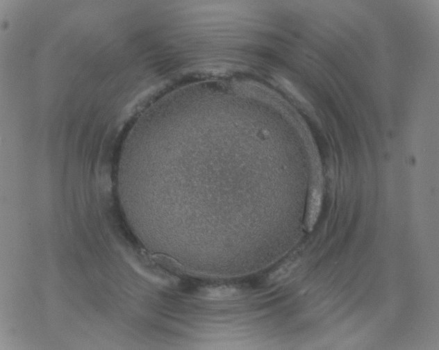 X0000076400500200610202133