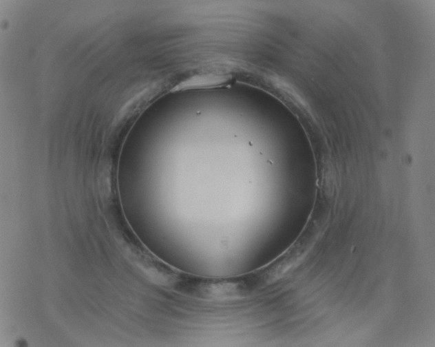 X0000076400501200610202133