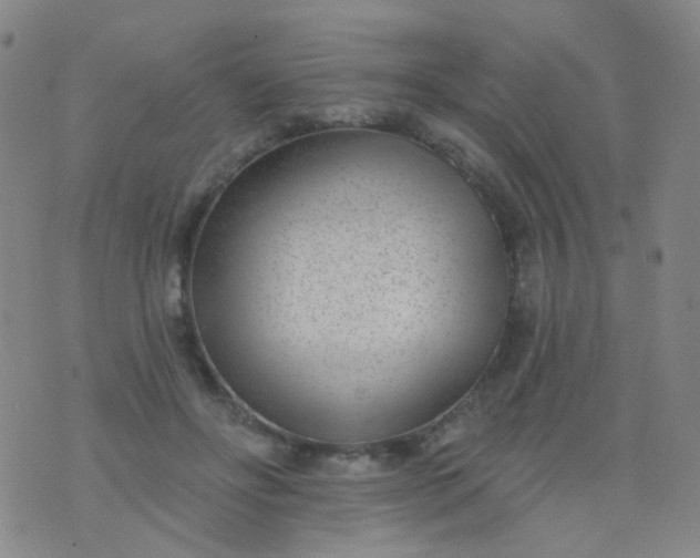 X0000076400502200610202133