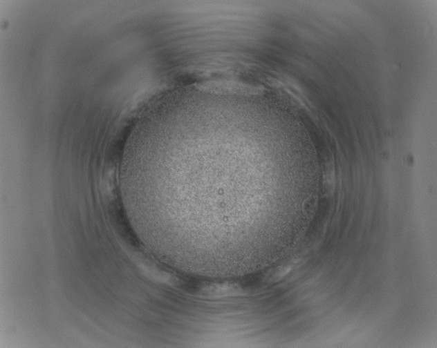 X0000076400503200610202133