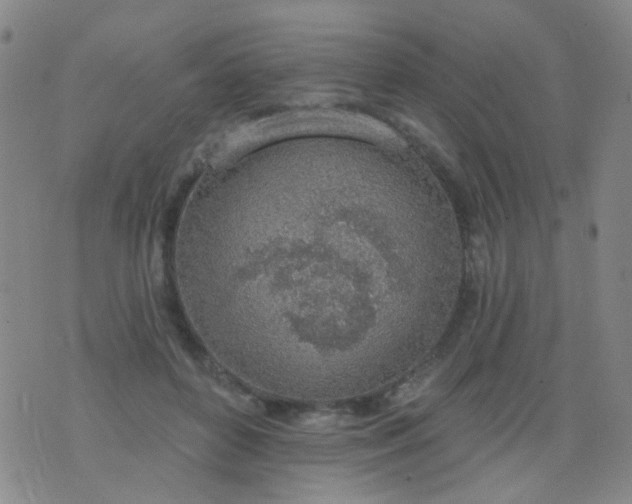 X0000076400504200610202133