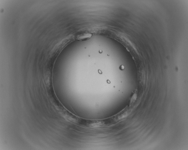 X0000076400505200610202133