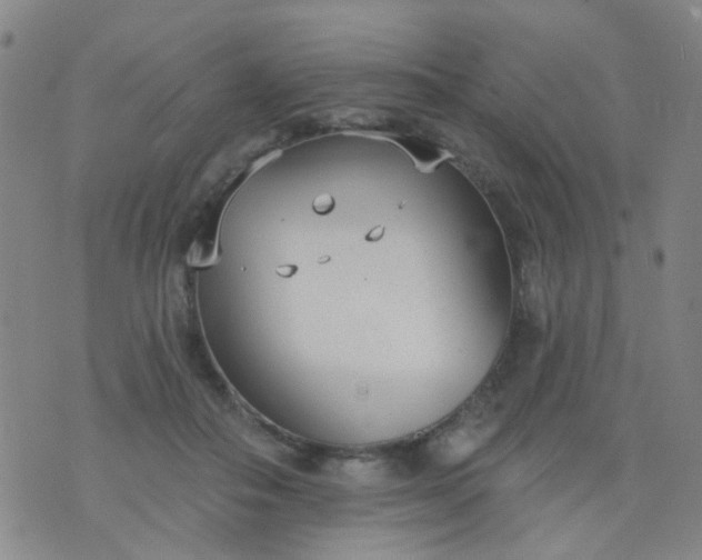 X0000076400506200610202133