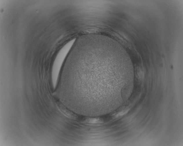 X0000076400507200610202133