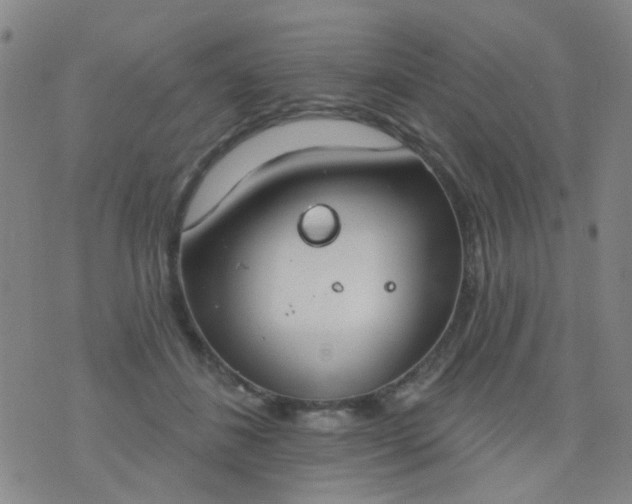 X0000076400508200610202133