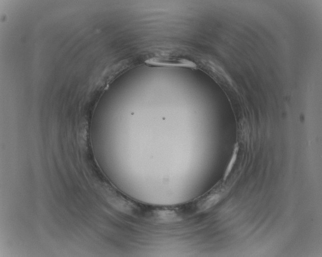 X0000076400509200610202133