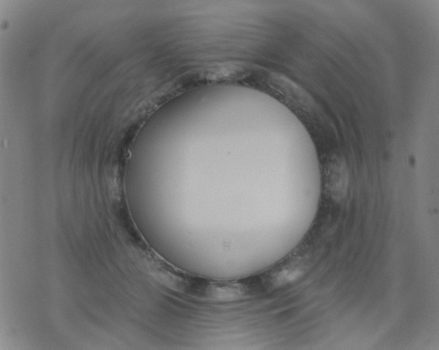 X0000076400510200610202133