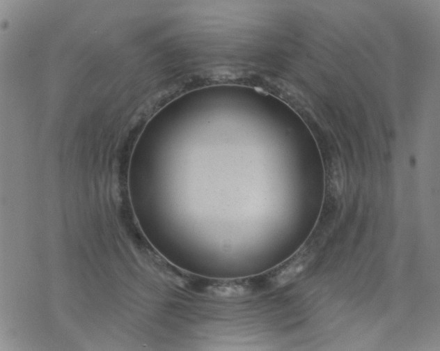 X0000076400512200610202133