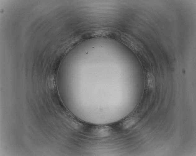 X0000076400514200610202133