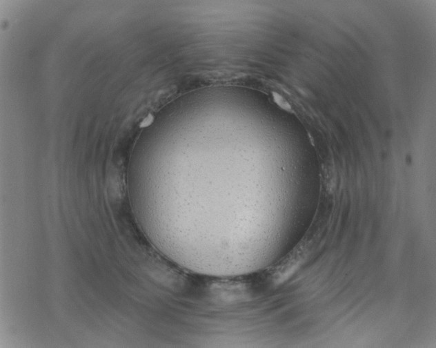 X0000076400515200610202133