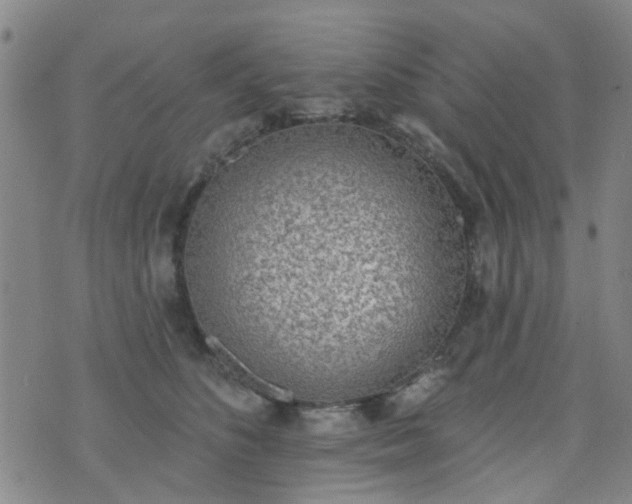 X0000076400516200610202133