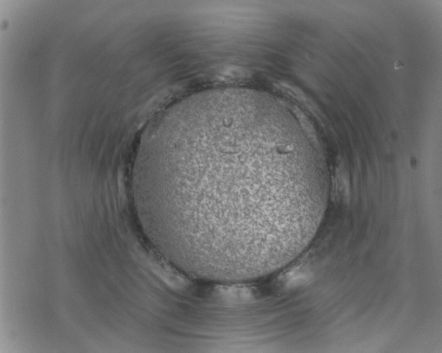 X0000076400520200610202133