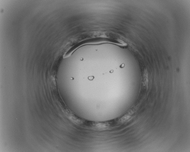 X0000076400522200610202133