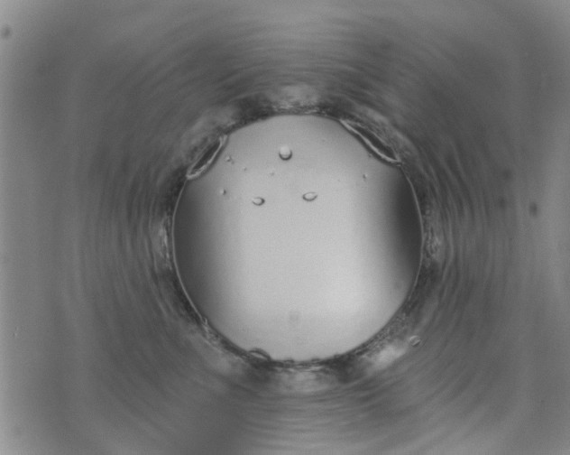 X0000076400523200610202133