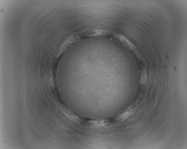 X0000076400524200610202133