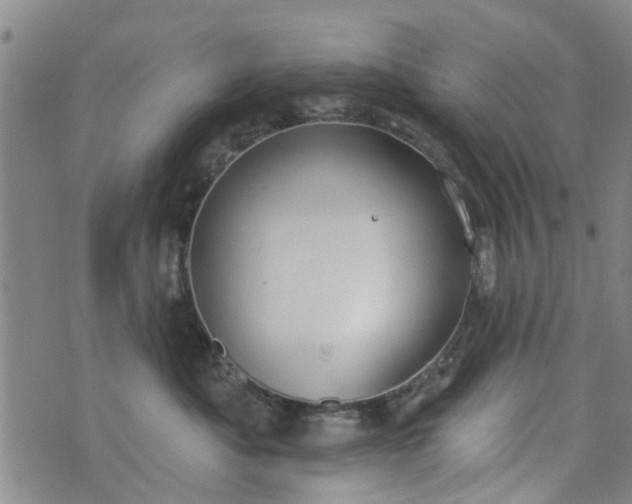 X0000076400525200610202133