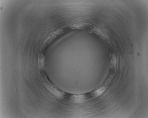 X0000076400526200610202133