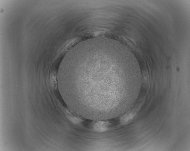 X0000076400527200610202133