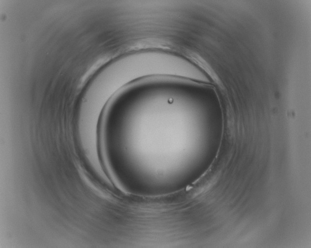 X0000076400530200610202132