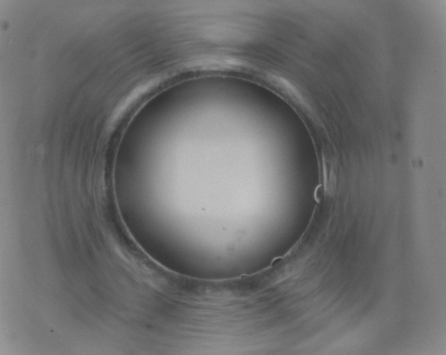 X0000076400531200610202132