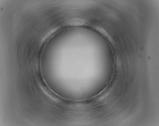 X0000076400533200610202132