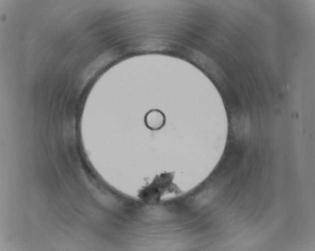 X0000076400534200610202132