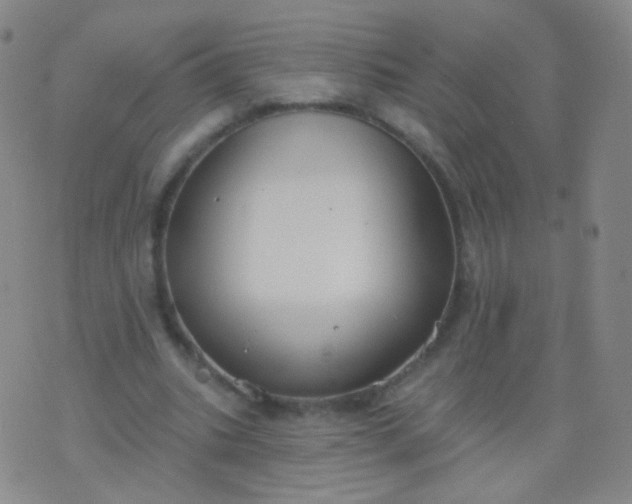 X0000076400535200610202132